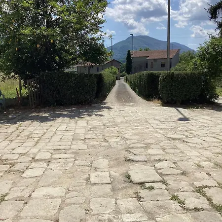 Amanda Πανσιόν