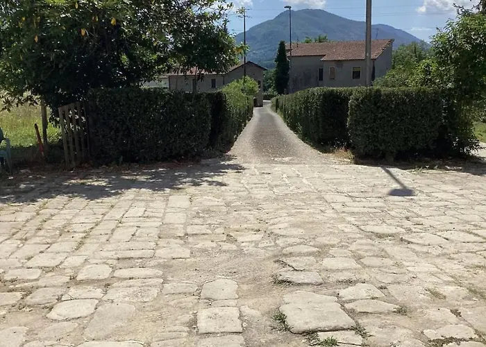 Amanda ゲストハウス